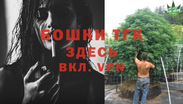 твердый Богородск