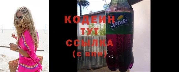 дмт Богородицк