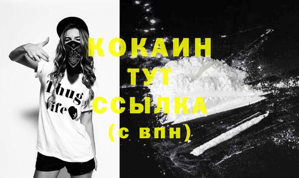 твердый Богородск