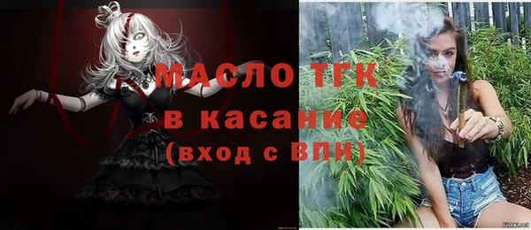 твердый Богородск