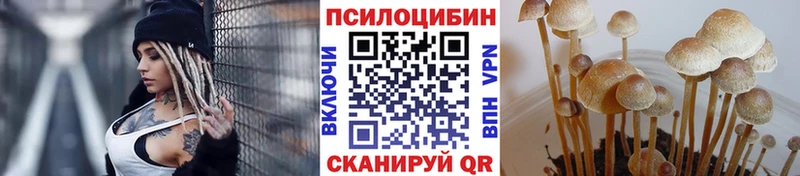 Псилоцибиновые грибы прущие грибы  Верхняя Салда 